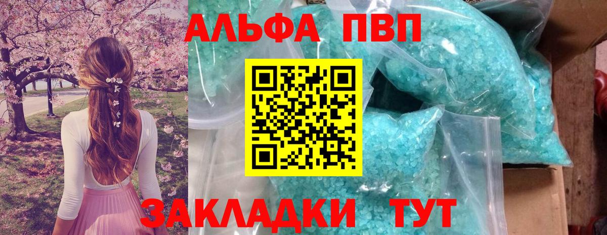 Альфа ПВП СК КРИС Берёзовский
