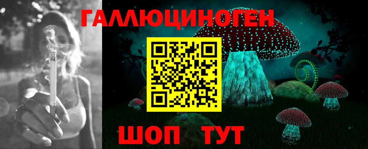 Псилоцибиновые грибы мухоморы  Вход с VPN  Галлюциногенные грибы прущие грибы  Берёзовский 